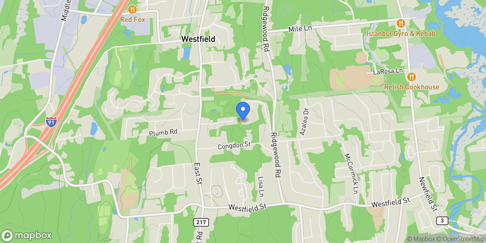 Map showing 128 Webster Lane, Middletown, Connecticut, United States.