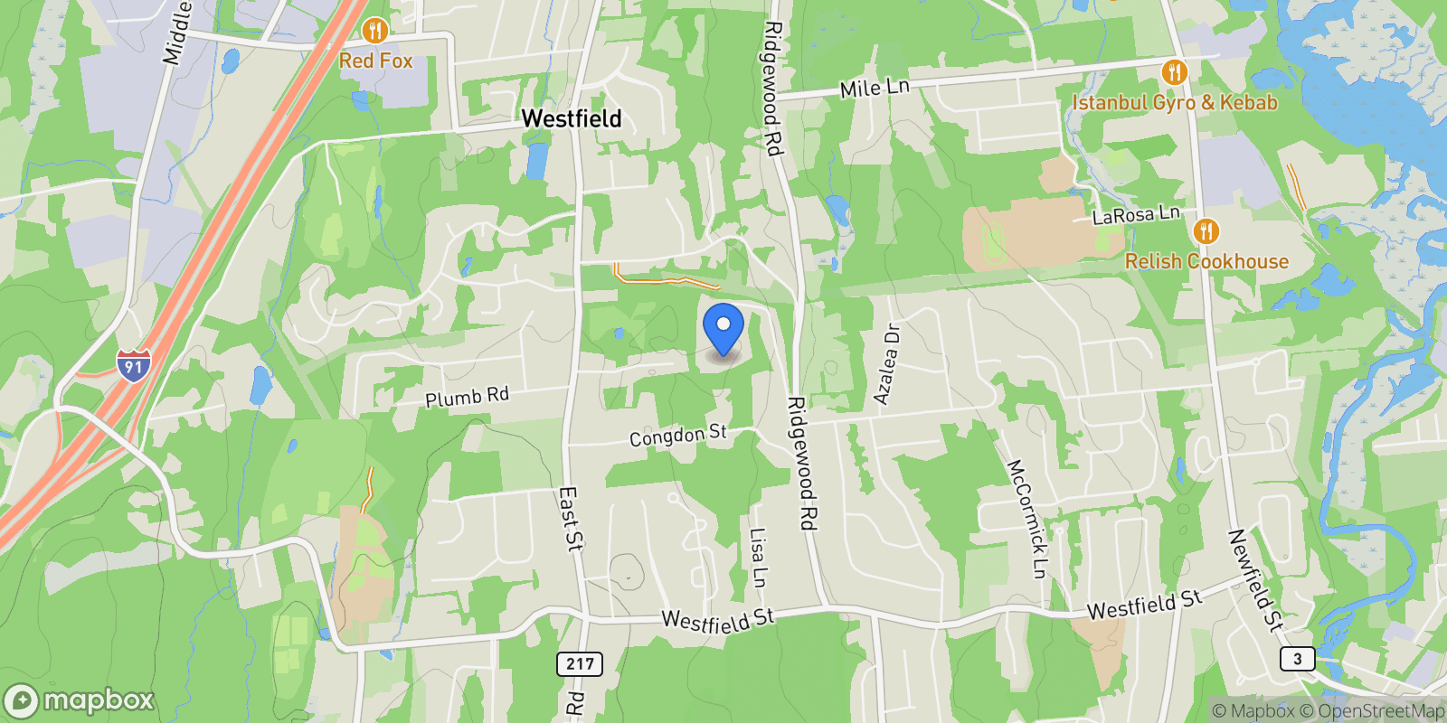 Map showing 137 Webster Lane #2-42, Middletown, Connecticut, United States.