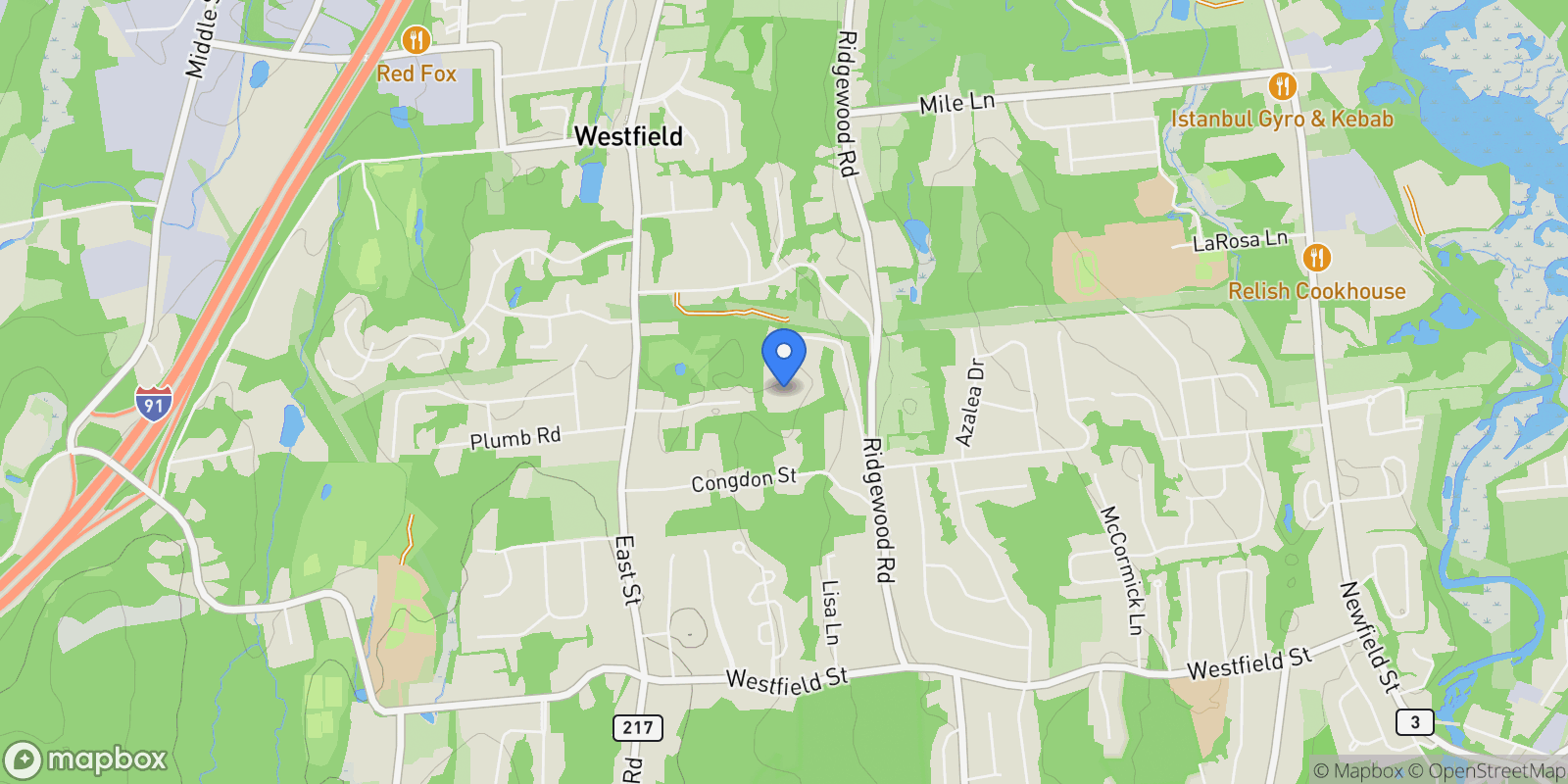 Map showing 123 Webster Lane, Middletown, Connecticut, United States.