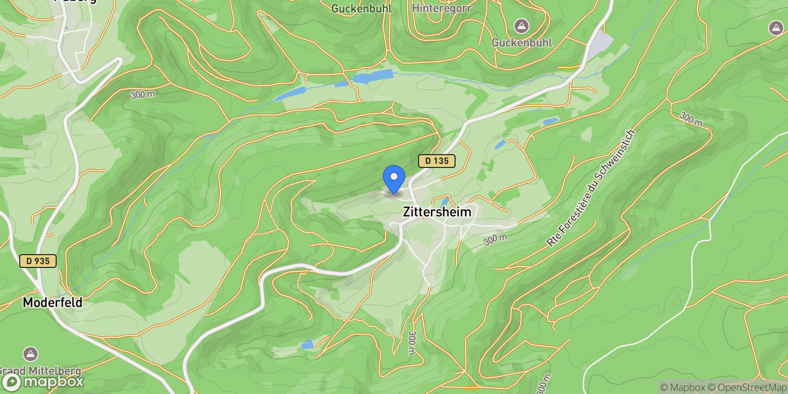 Map showing 5 Rue du Tal, Zittersheim, Grand Est, France.